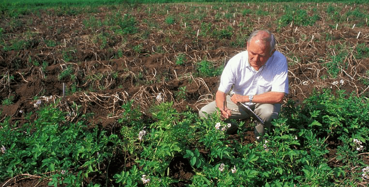 grow-further-language-support-man-in-field